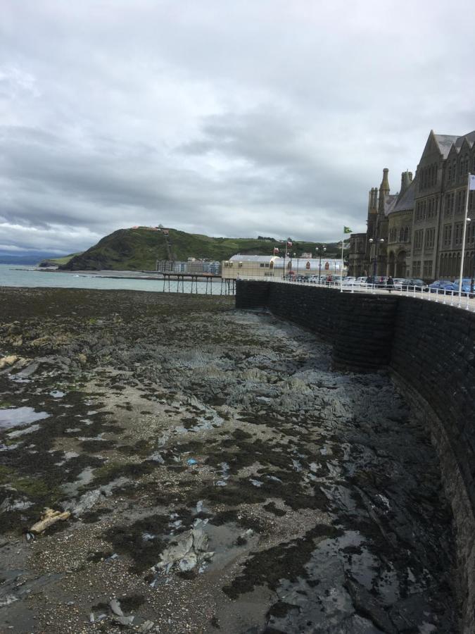 Bryncoed Bed & Breakfast Aberystwyth Ngoại thất bức ảnh